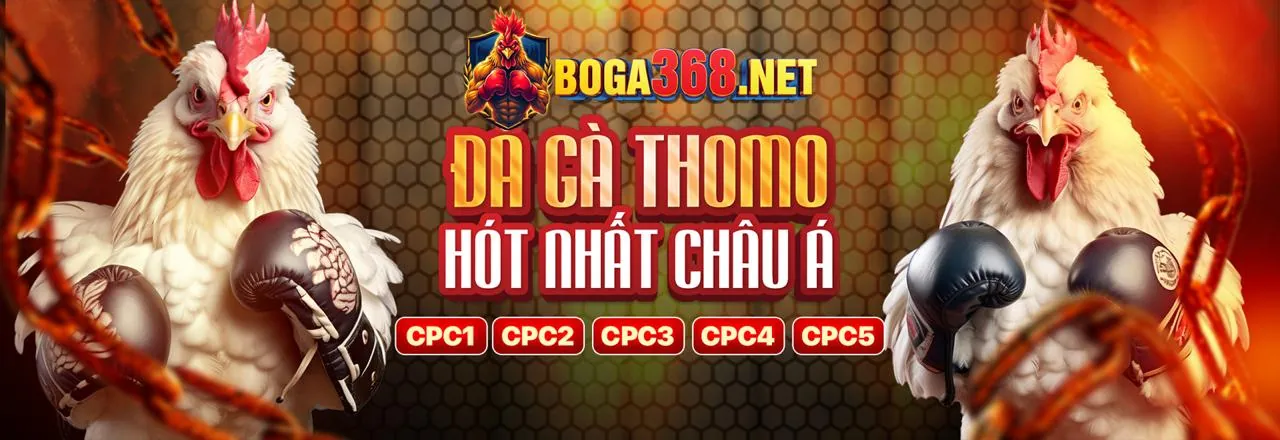 Lịch sử phát triển Waybet